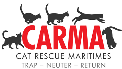 CARMA | Cat Rescue Maritimes – Trap, Neuter, Return